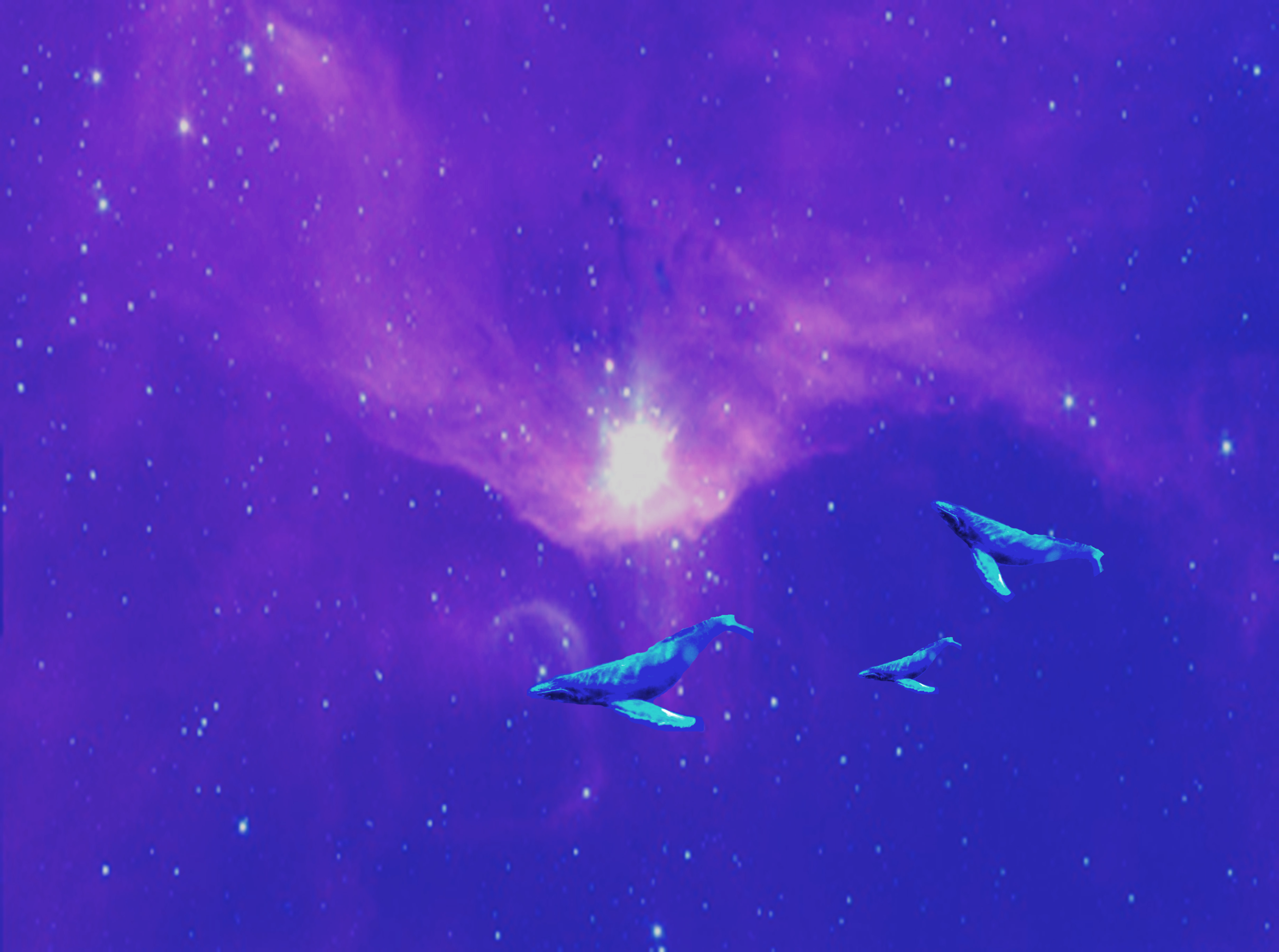 spacewhales.jpg