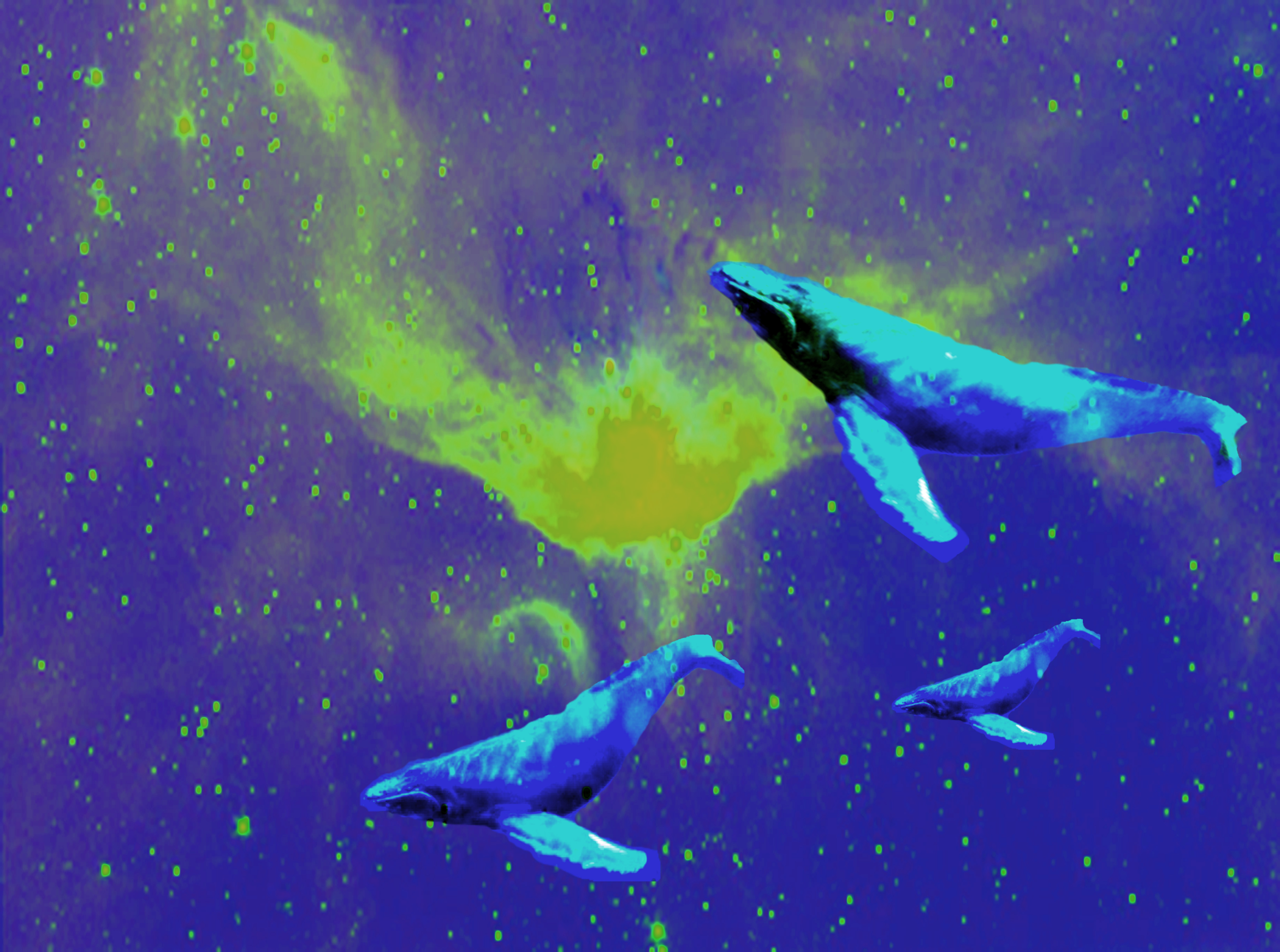 spacewhales3.jpg