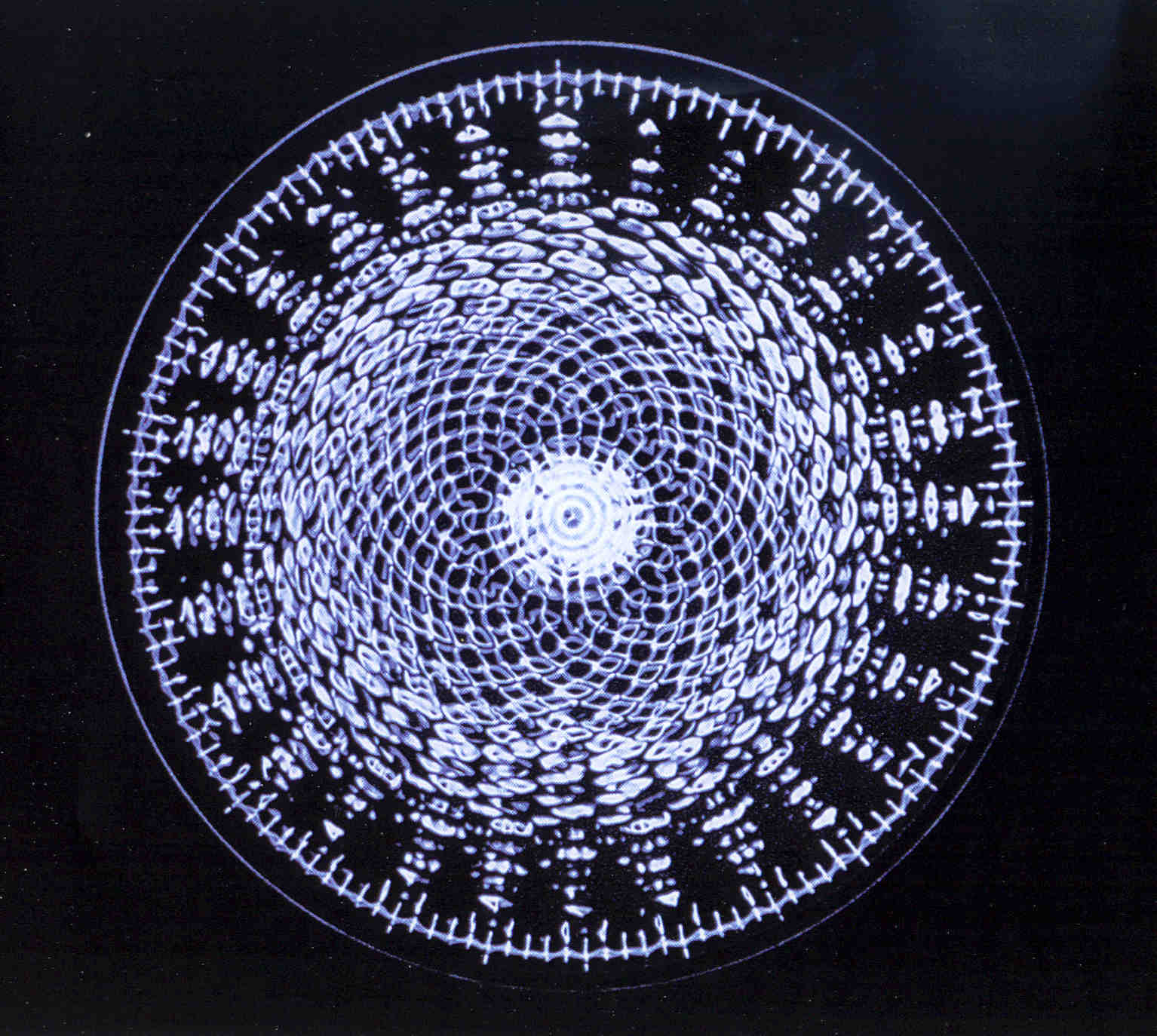 cymatics, the study of sound vibration in matter